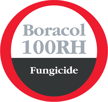 Boracol 100RH Logo