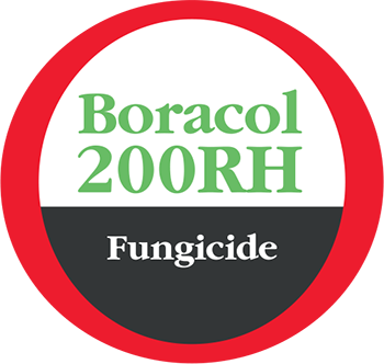 Boracol 200 RH Logo