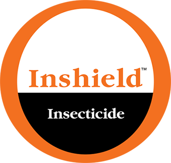 Inshield™ Logo